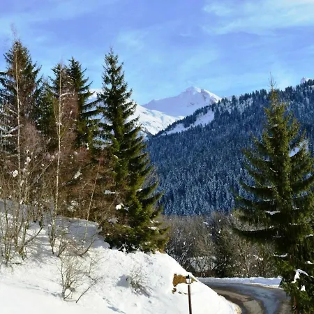 Apartment Ensoleille Avec Balcon Sud, Parking, Navette, 4 Couchages - - Fr-1-241-98 Le Grand-Bornand