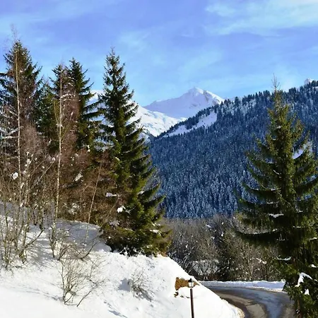 Le Grand-bornand, 1 Pièce, 4 Personnes - Fr-1-241-98 Appartement
